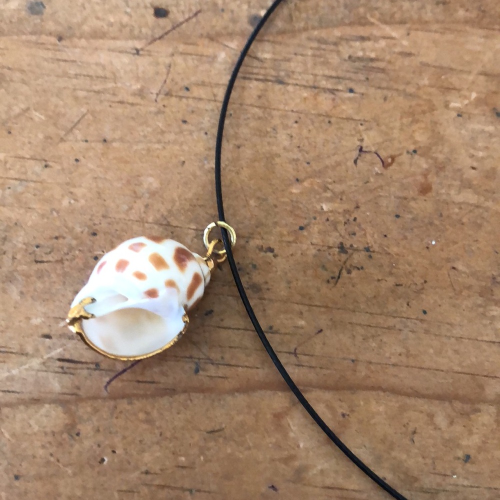 Pretty minimalist necklace with shell . Appropriate length 7 inches